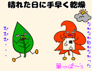 赤紫蘇 あかじそ で草木染め 煮染めと火を使わない花びら染め 初心者でも出来る簡単なやり方 ゆる っとものづくり
