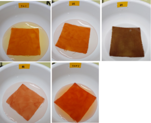 玉ねぎの皮で草木染め ピンクやオレンジに染めてみよう 初心者でも出来る簡単なやり方 ゆる っとものづくり