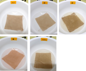 ナスの皮で草木染め 薄紫に染めてみよう 初心者からでも出来る簡単なやり方 コツ ゆる っとものづくり