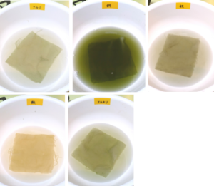 よもぎで草木染め 緑に染めてみよう 初心者からでも出来る簡単なやり方 方法 ゆる っとものづくり