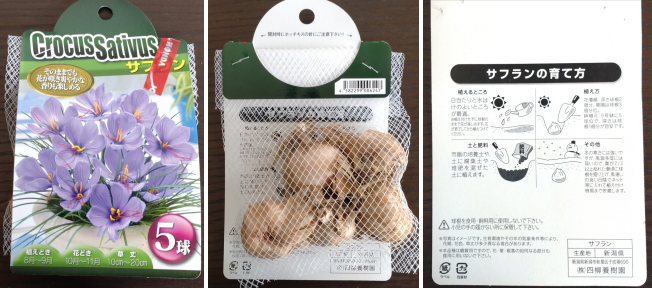 ジョイフル本田のサフランの球根のパッケージの写真