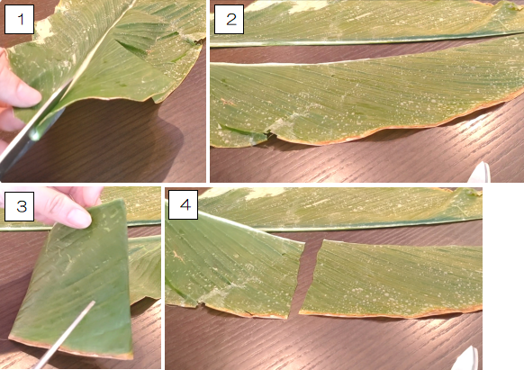 ウコンリーフカレーちまき作りウコンの葉を４分の一にハサミで切った写真